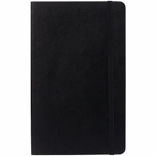 Записная книжка Moleskine Professional Large, черная